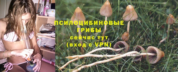 молекула духа Наволоки