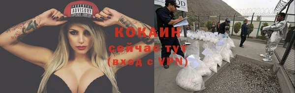 молекула духа Наволоки