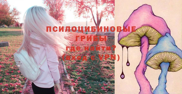 ECSTASY Корсаков