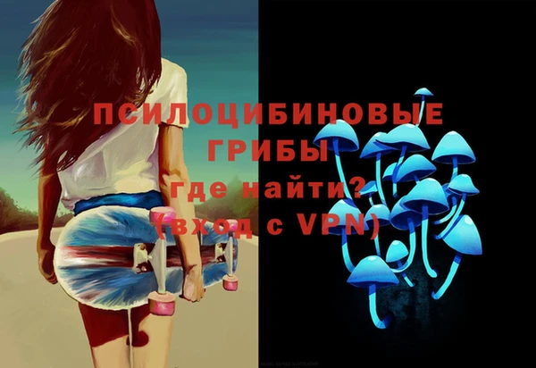mdpv Надым