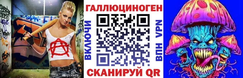 Псилоцибиновые грибы Cubensis Дербент