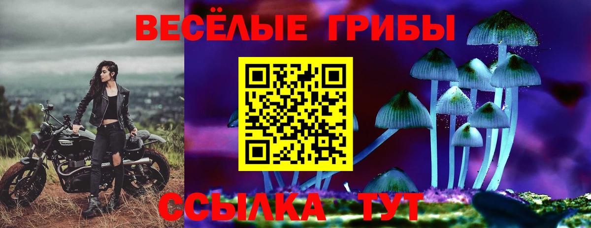 Дербент  Галлюциногенные грибы мухоморы  Вход с VPN  купить закладку  Псилоцибиновые грибы Psilocybine cubensis 