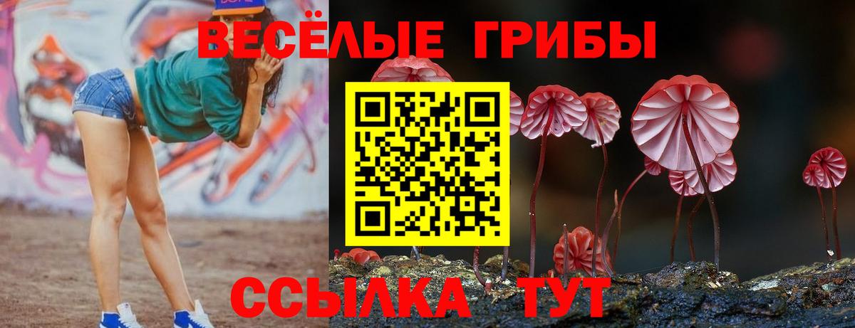 Галлюциногенные грибы GOLDEN TEACHER  Дербент  Галлюциногенные грибы MAGIC MUSHROOMS 