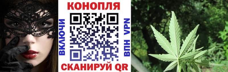 Шишки марихуана тримм  купить   гидра ССЫЛКА  Дербент 