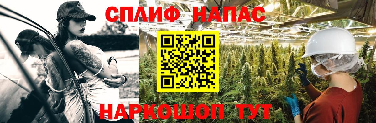 Бошки марихуана Bruce Banner  Вход с VPN  Конопля сатива  Дербент  МАРИХУАНА тримм 